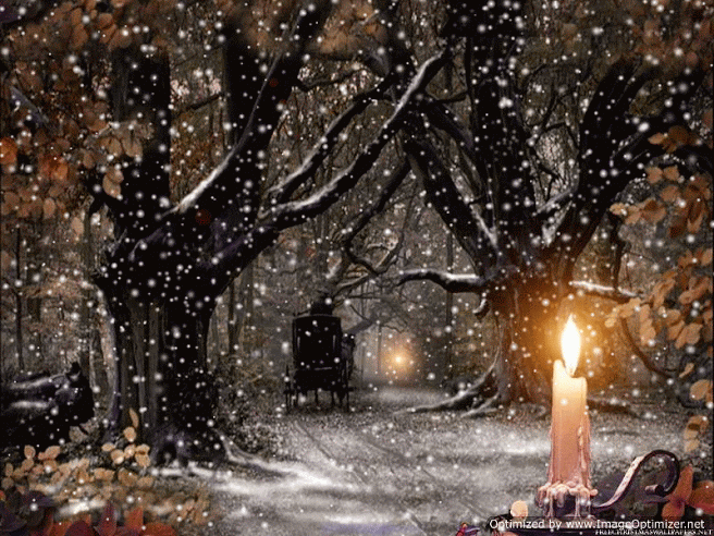 5c359-christmas_picture-snow