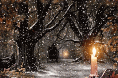 5c359-christmas_picture-snow